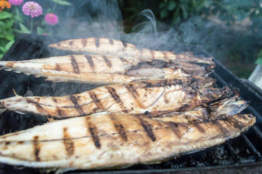 Pescado azul a la parrilla