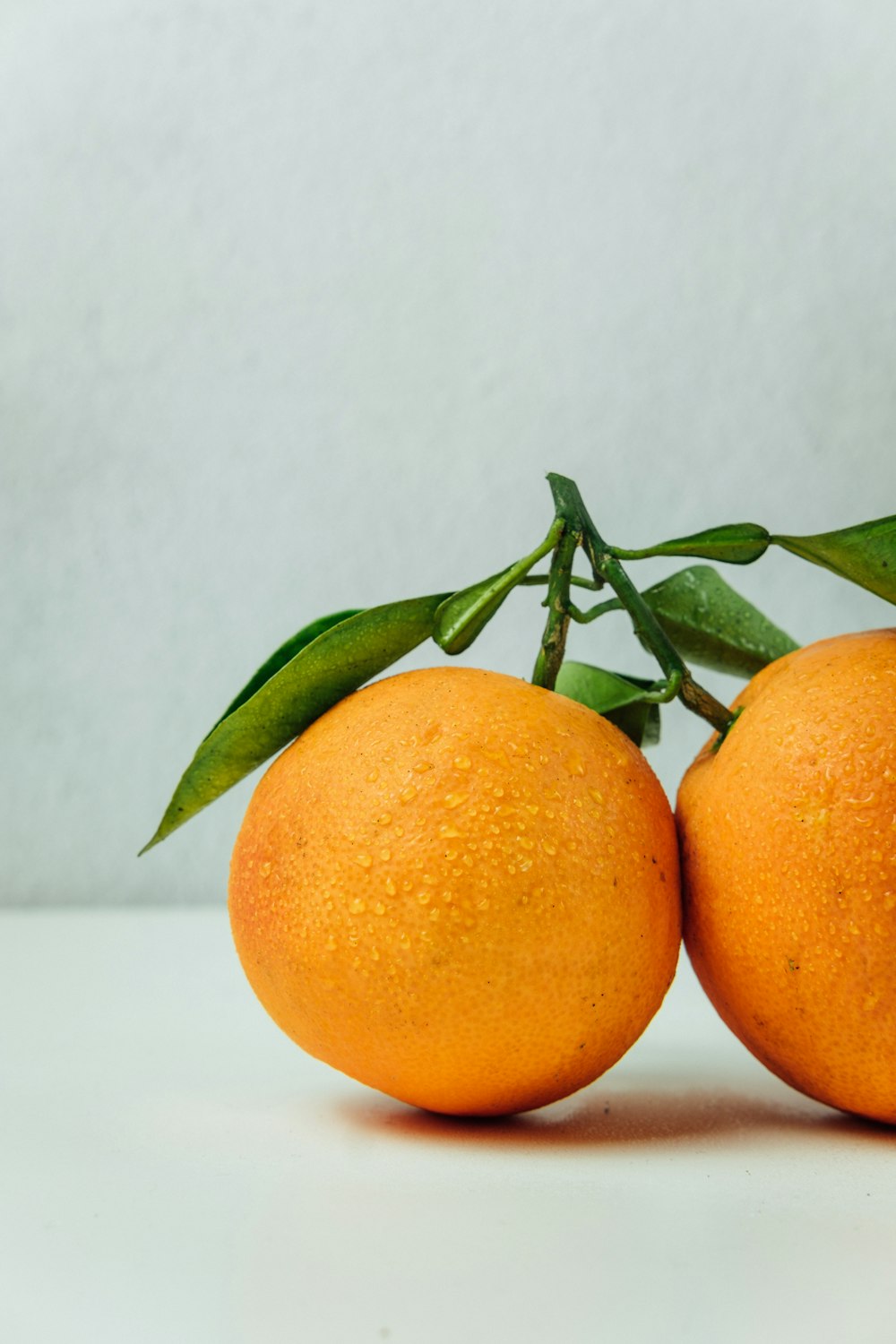 Naranjas frescas — imagen ilustrativa